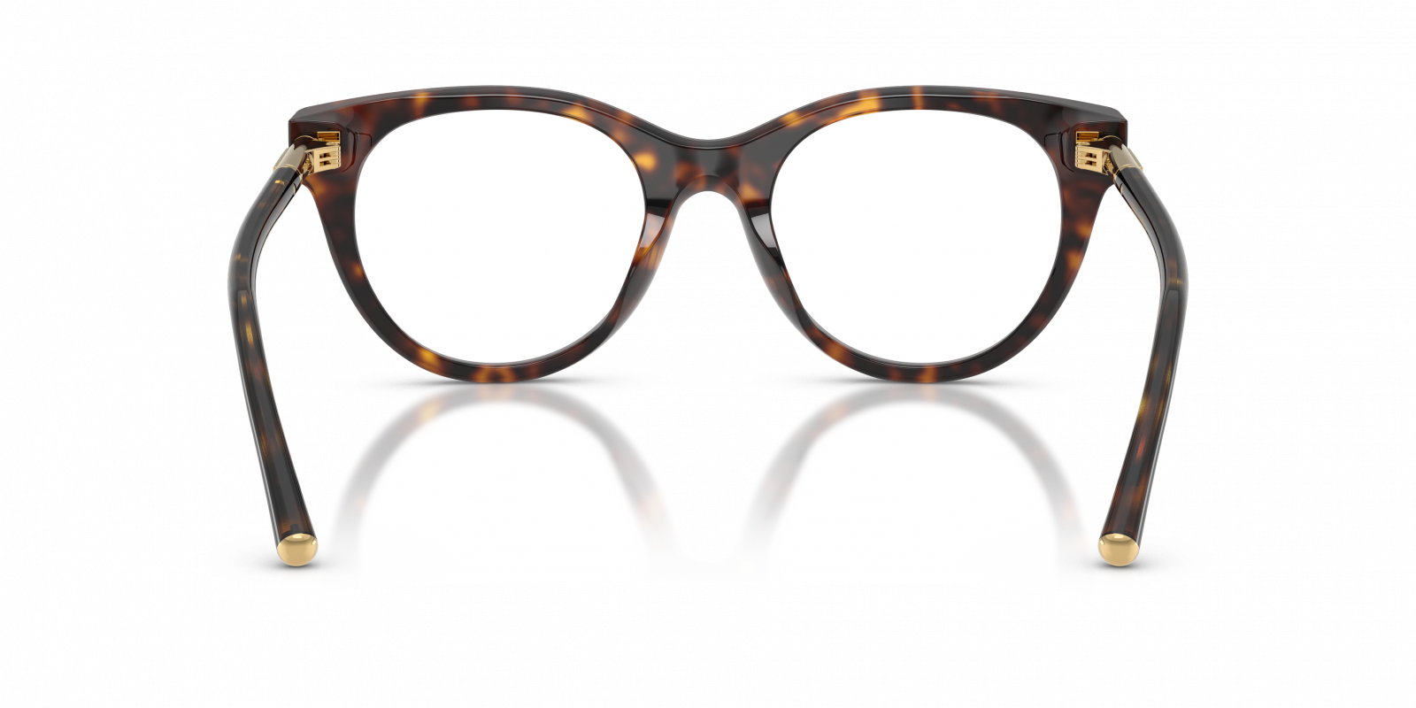 Dolce & Gabbana DG3433 502  